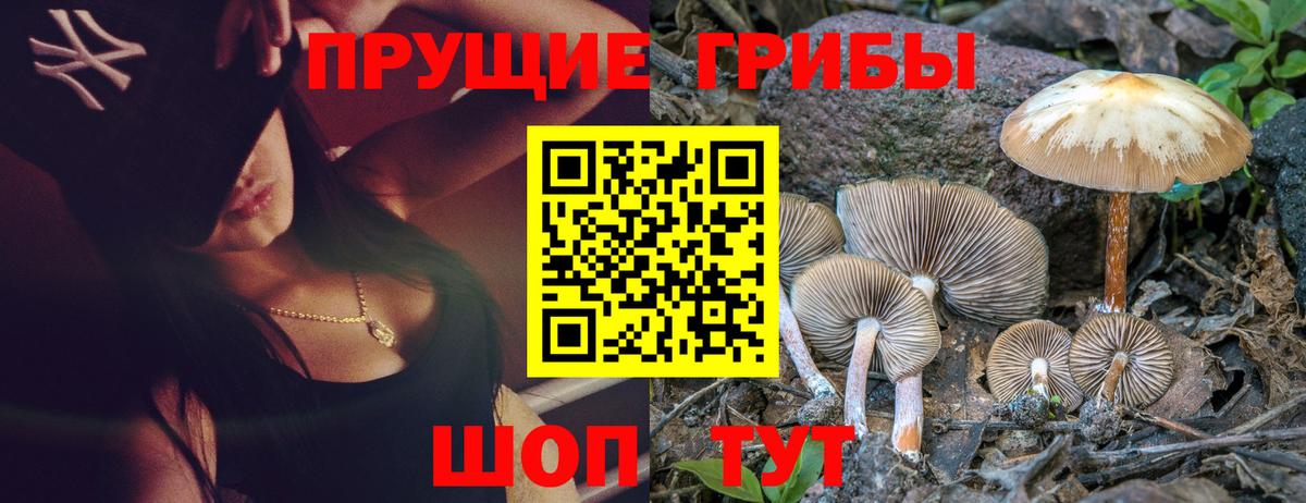 Галлюциногенные грибы ЛСД  Псилоцибиновые грибы Psilocybe  Севастополь  Вход с VPN 